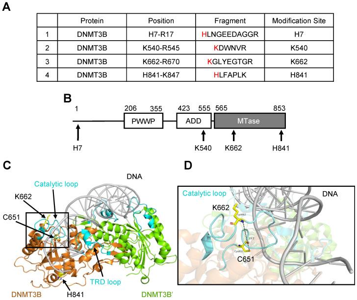 https://cdn.ncbi.nlm.nih.gov/pmc/blobs/7613/11546359/94007a4529cf/ijms-25-11592-g002.jpg