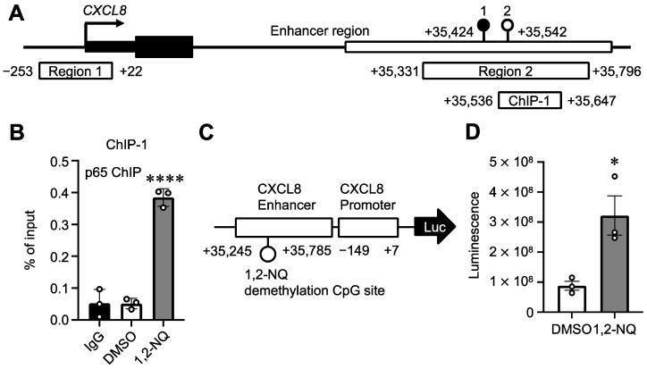 https://cdn.ncbi.nlm.nih.gov/pmc/blobs/7613/11546359/f4b3bee4b365/ijms-25-11592-g006.jpg