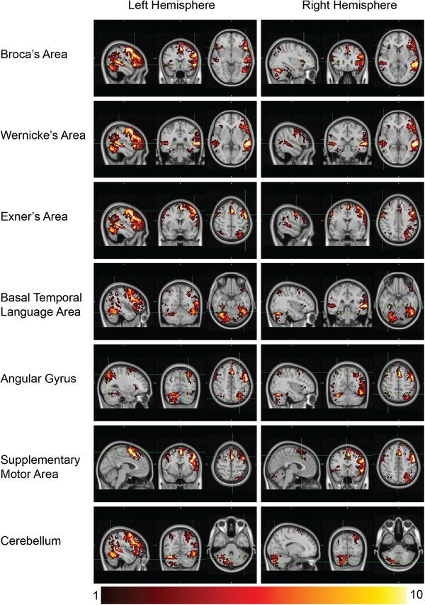 https://cdn.ncbi.nlm.nih.gov/pmc/blobs/7614/9226851/ebfb9eee2d95/BRB3-12-e2609-g005.jpg