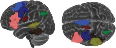 https://cdn.ncbi.nlm.nih.gov/pmc/blobs/7614/9226851/f404a278d75d/BRB3-12-e2609-g004.jpg
