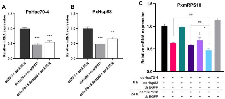 https://cdn.ncbi.nlm.nih.gov/pmc/blobs/7616/10671170/f85f8d16b3a1/ijms-24-16167-g005.jpg