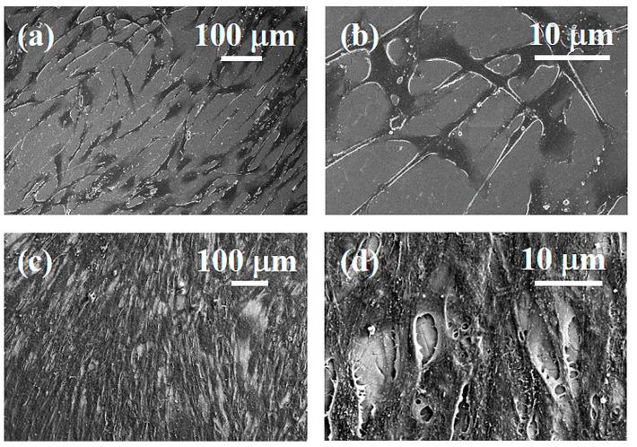 https://cdn.ncbi.nlm.nih.gov/pmc/blobs/7617/10342650/11126e84f172/materials-16-04530-g012.jpg