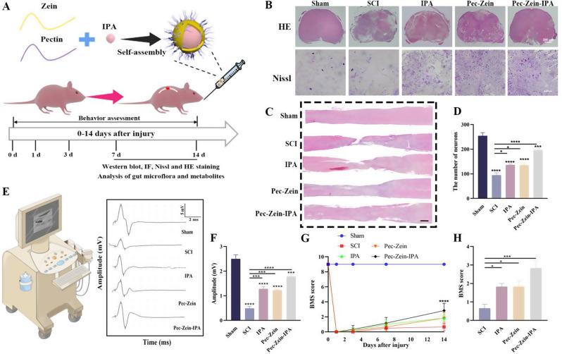 https://cdn.ncbi.nlm.nih.gov/pmc/blobs/7618/11869623/0d55ba986e9c/12951_2025_3224_Fig2_HTML.jpg