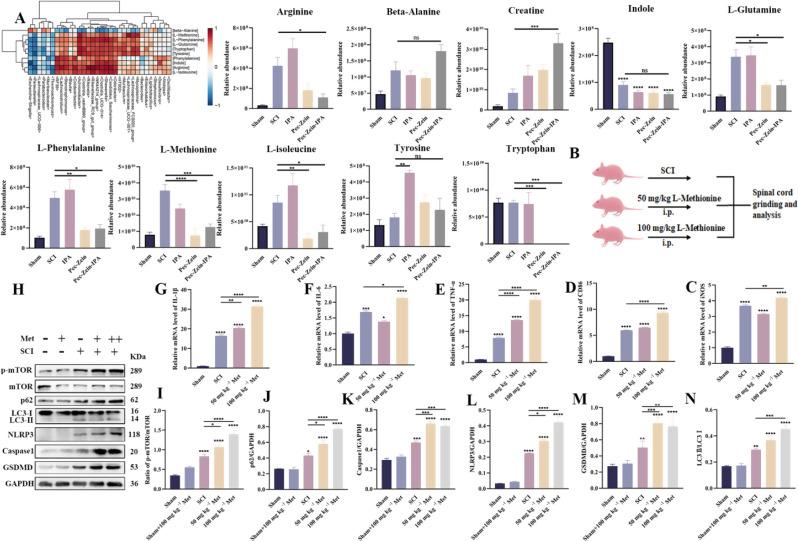 https://cdn.ncbi.nlm.nih.gov/pmc/blobs/7618/11869623/734f7d6de1e9/12951_2025_3224_Fig7_HTML.jpg