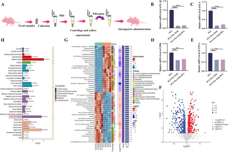 https://cdn.ncbi.nlm.nih.gov/pmc/blobs/7618/11869623/7b9b5f703ec4/12951_2025_3224_Fig6_HTML.jpg