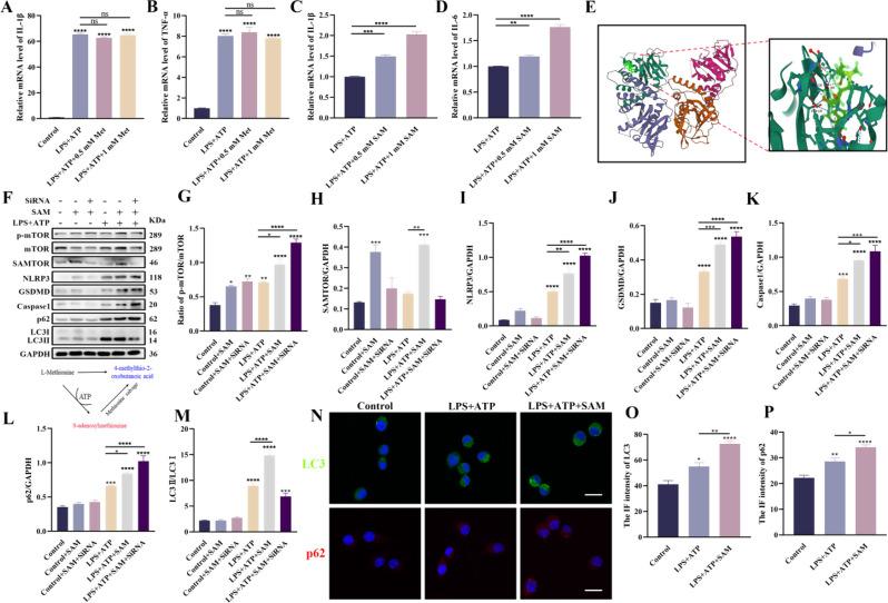 https://cdn.ncbi.nlm.nih.gov/pmc/blobs/7618/11869623/e92ce05b0909/12951_2025_3224_Fig8_HTML.jpg
