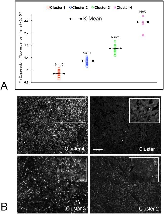 https://cdn.ncbi.nlm.nih.gov/pmc/blobs/7618/4540426/21ec7226af81/pone.0135951.g001.jpg