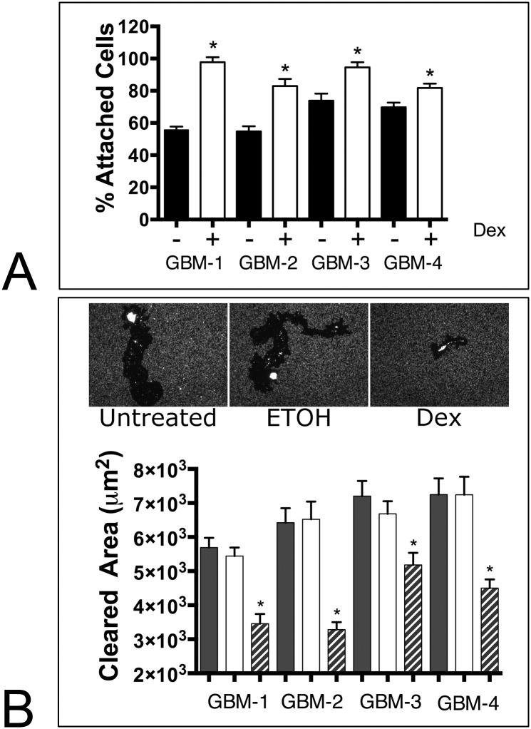https://cdn.ncbi.nlm.nih.gov/pmc/blobs/7618/4540426/2a21aa262fc9/pone.0135951.g005.jpg