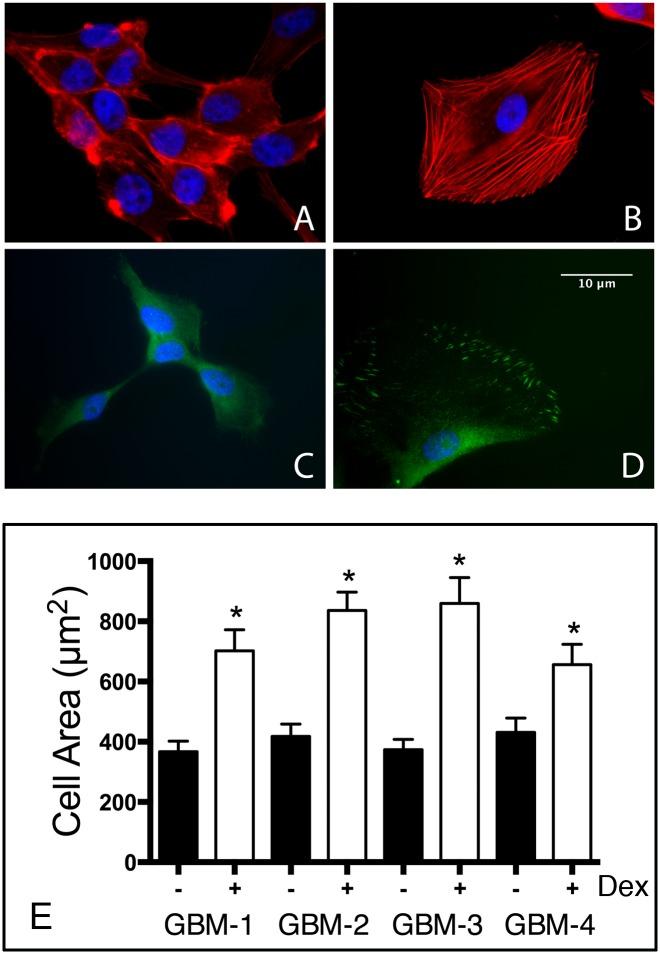 https://cdn.ncbi.nlm.nih.gov/pmc/blobs/7618/4540426/ebb5c322a14e/pone.0135951.g004.jpg