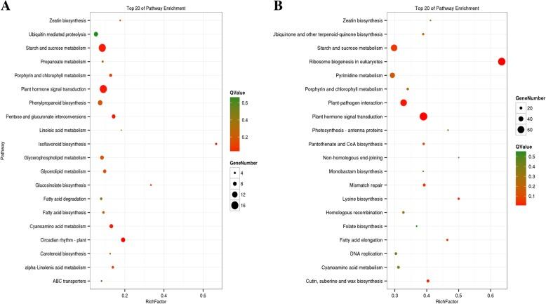 https://cdn.ncbi.nlm.nih.gov/pmc/blobs/7619/6537181/5bc3ac72545b/12870_2019_1756_Fig4_HTML.jpg