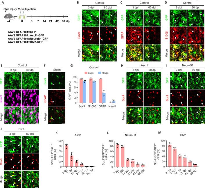 https://cdn.ncbi.nlm.nih.gov/pmc/blobs/761a/11688565/56df90f3c836/NRR-20-1801-g002.jpg
