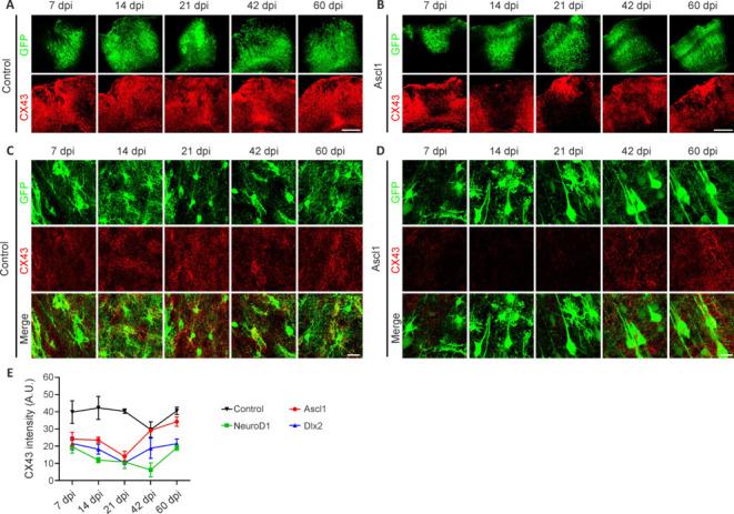 https://cdn.ncbi.nlm.nih.gov/pmc/blobs/761a/11688565/91377627274d/NRR-20-1801-g007.jpg