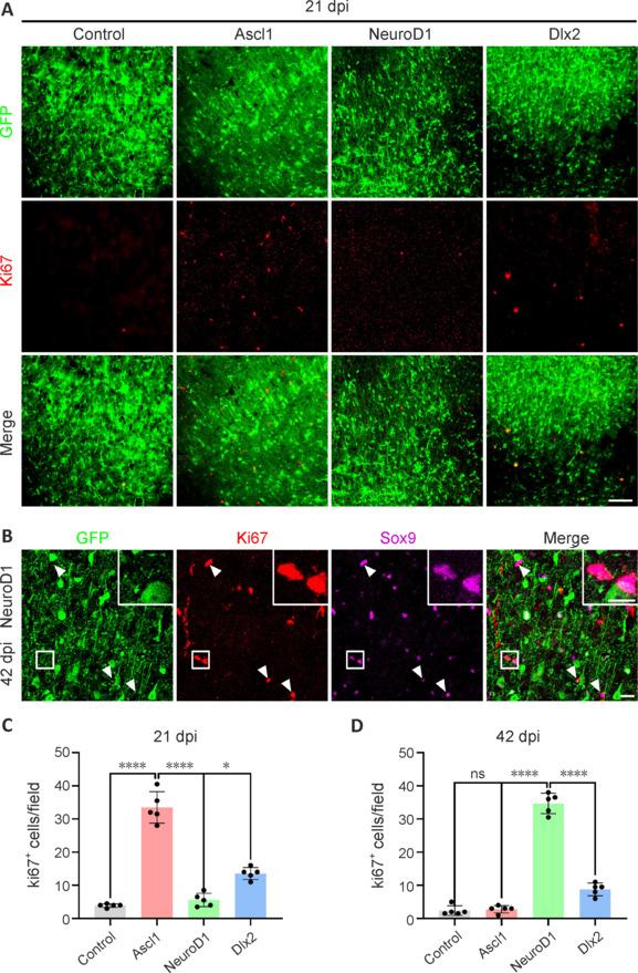 https://cdn.ncbi.nlm.nih.gov/pmc/blobs/761a/11688565/acfdc1592deb/NRR-20-1801-g009.jpg
