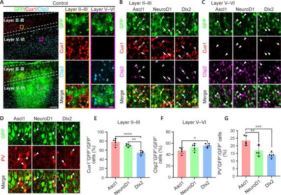 https://cdn.ncbi.nlm.nih.gov/pmc/blobs/761a/11688565/e86b0f155068/NRR-20-1801-g005.jpg