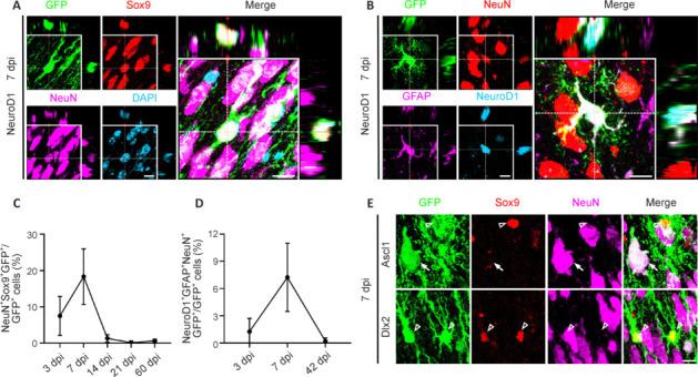 https://cdn.ncbi.nlm.nih.gov/pmc/blobs/761a/11688565/fc762795ea1b/NRR-20-1801-g004.jpg