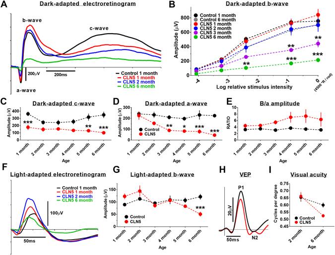 https://cdn.ncbi.nlm.nih.gov/pmc/blobs/761c/5431647/6aeb64f355d9/41598_2017_1716_Fig1_HTML.jpg