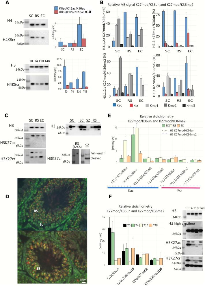 https://cdn.ncbi.nlm.nih.gov/pmc/blobs/761c/7192594/3e55c13a3d6f/gkaa163fig2.jpg