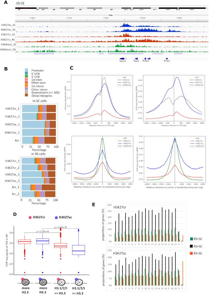 https://cdn.ncbi.nlm.nih.gov/pmc/blobs/761c/7192594/f76eac6941e9/gkaa163fig3.jpg