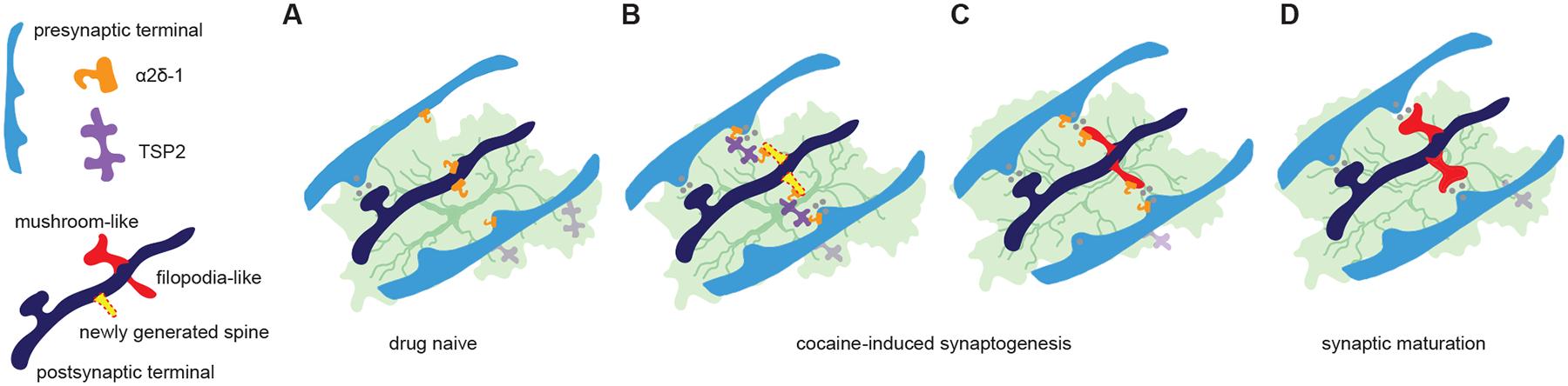 https://cdn.ncbi.nlm.nih.gov/pmc/blobs/761f/8501151/77229184e79b/nihms-1687290-f0003.jpg