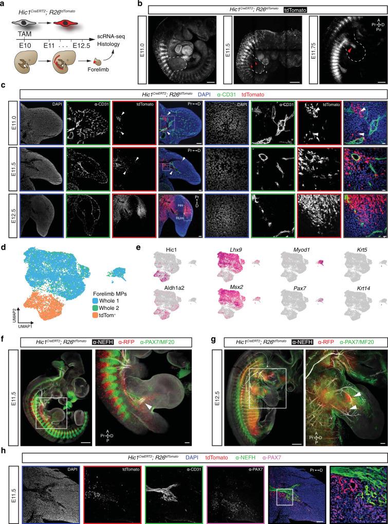 https://cdn.ncbi.nlm.nih.gov/pmc/blobs/761f/9411605/2bb57aea65d6/41467_2022_32695_Fig1_HTML.jpg