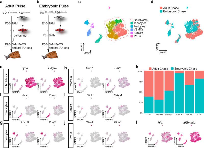 https://cdn.ncbi.nlm.nih.gov/pmc/blobs/761f/9411605/689f38b50a11/41467_2022_32695_Fig8_HTML.jpg