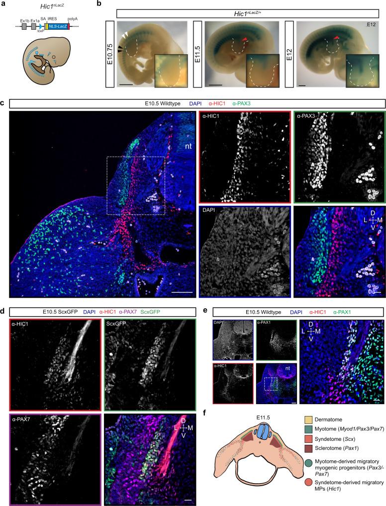 https://cdn.ncbi.nlm.nih.gov/pmc/blobs/761f/9411605/8ebd0cee1699/41467_2022_32695_Fig2_HTML.jpg