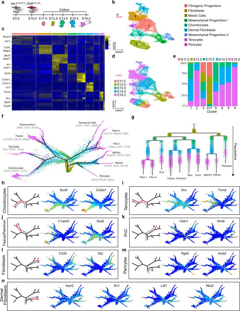 https://cdn.ncbi.nlm.nih.gov/pmc/blobs/761f/9411605/be96c916cf57/41467_2022_32695_Fig3_HTML.jpg