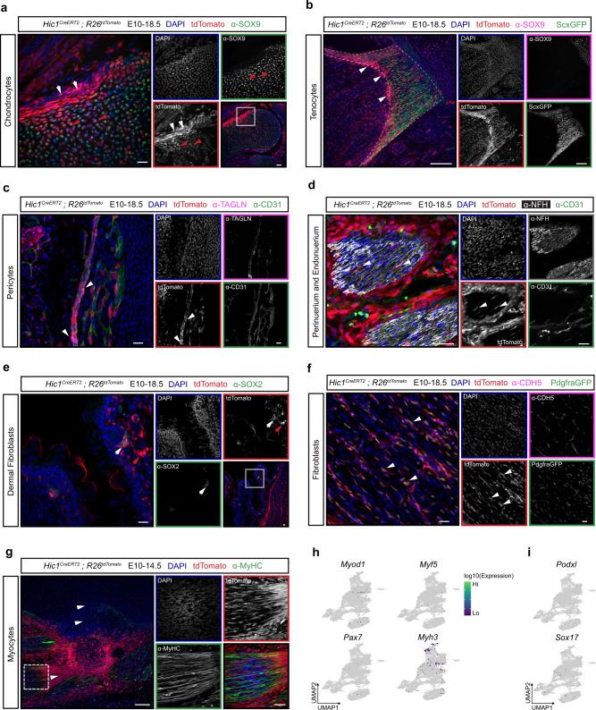 https://cdn.ncbi.nlm.nih.gov/pmc/blobs/761f/9411605/f6a260d8db52/41467_2022_32695_Fig4_HTML.jpg
