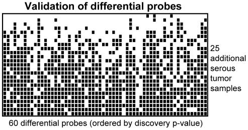https://cdn.ncbi.nlm.nih.gov/pmc/blobs/7620/3293923/71612cb2e989/pone.0032941.g003.jpg