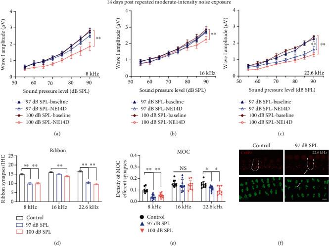 https://cdn.ncbi.nlm.nih.gov/pmc/blobs/7620/8211526/69bd870389ab/NP2021-9919977.005.jpg