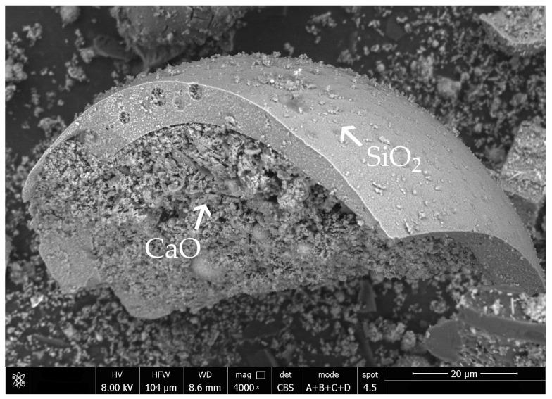 https://cdn.ncbi.nlm.nih.gov/pmc/blobs/7620/8587791/d9cdae7161a3/materials-14-06654-g004.jpg