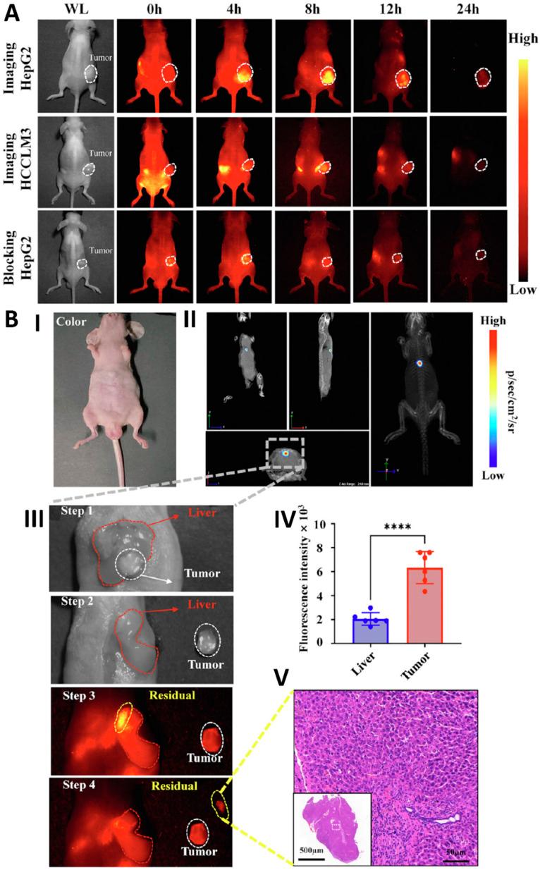 https://cdn.ncbi.nlm.nih.gov/pmc/blobs/7622/12257482/28e180a5350a/d5ra03927d-f10.jpg