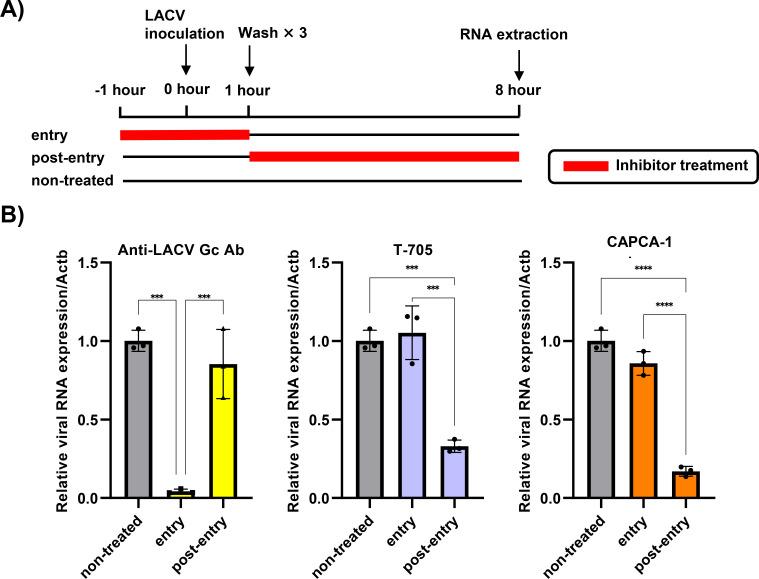 https://cdn.ncbi.nlm.nih.gov/pmc/blobs/7623/12406681/f77bfc407088/aac.00186-25.f003.jpg