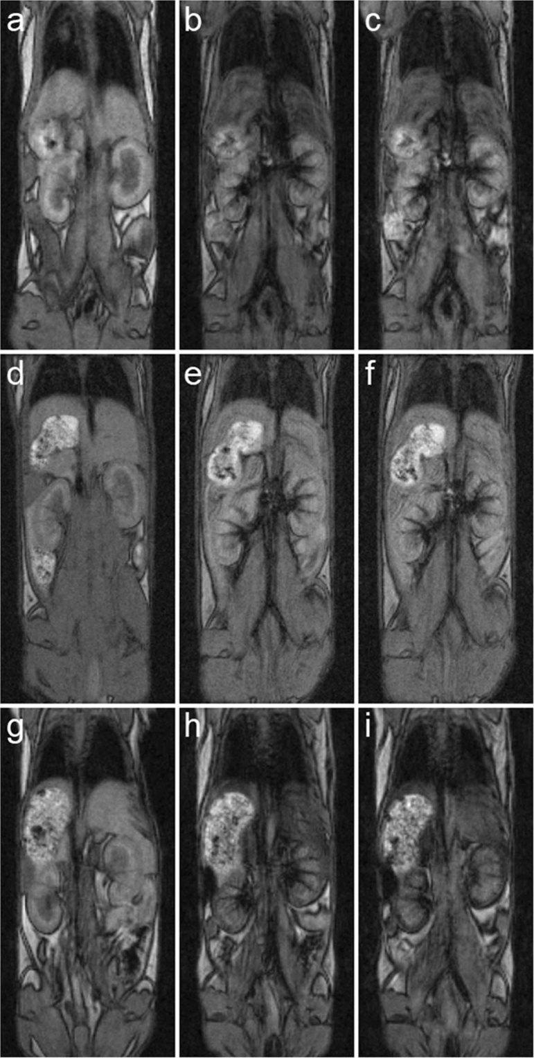 https://cdn.ncbi.nlm.nih.gov/pmc/blobs/7627/6656745/942afe58d2df/41598_2019_47262_Fig6_HTML.jpg