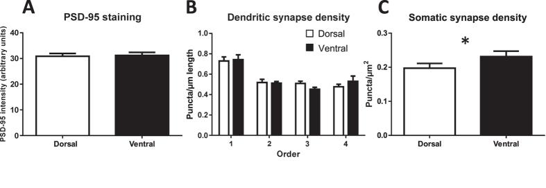 https://cdn.ncbi.nlm.nih.gov/pmc/blobs/7628/4965755/488d45758d03/srep30467-f7.jpg