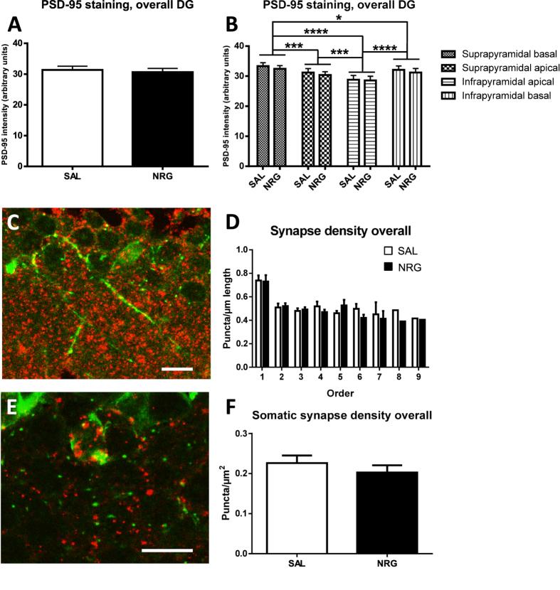 https://cdn.ncbi.nlm.nih.gov/pmc/blobs/7628/4965755/fa7c137803c4/srep30467-f4.jpg