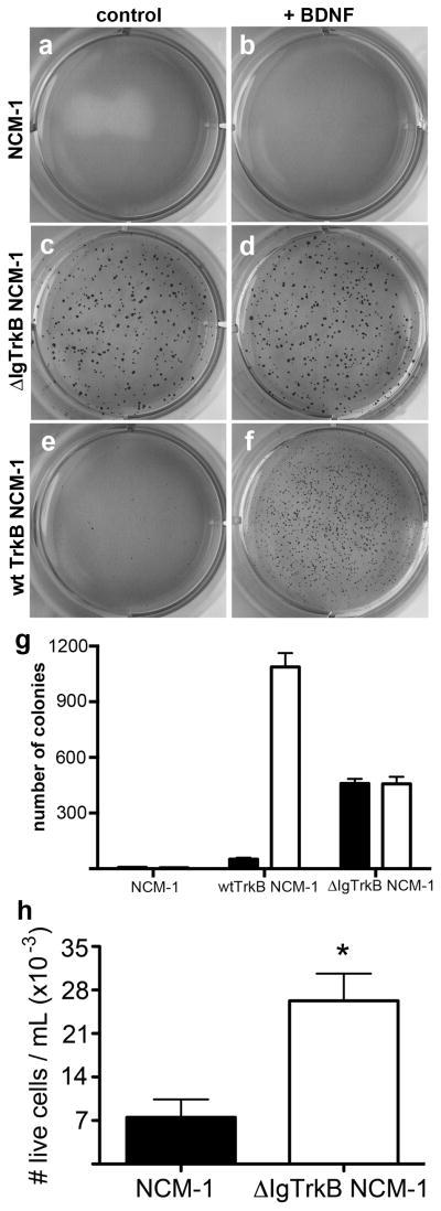 https://cdn.ncbi.nlm.nih.gov/pmc/blobs/7629/3930615/0650479ed6e3/nihms550072f4.jpg