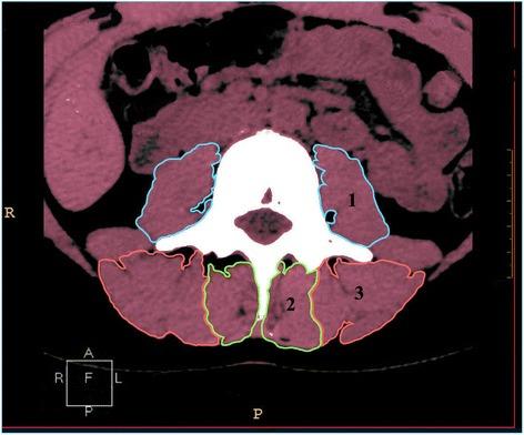 https://cdn.ncbi.nlm.nih.gov/pmc/blobs/7629/5057209/622b1bc211f2/12891_2016_1282_Fig3_HTML.jpg