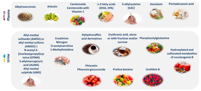 https://cdn.ncbi.nlm.nih.gov/pmc/blobs/762b/10935146/747c25697bc9/nutrients-16-00581-g003.jpg
