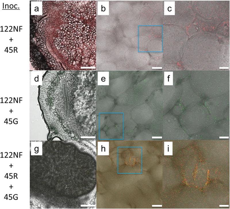 https://cdn.ncbi.nlm.nih.gov/pmc/blobs/7630/10424618/644567521a02/KPSB_A_2245995_F0001_OC.jpg