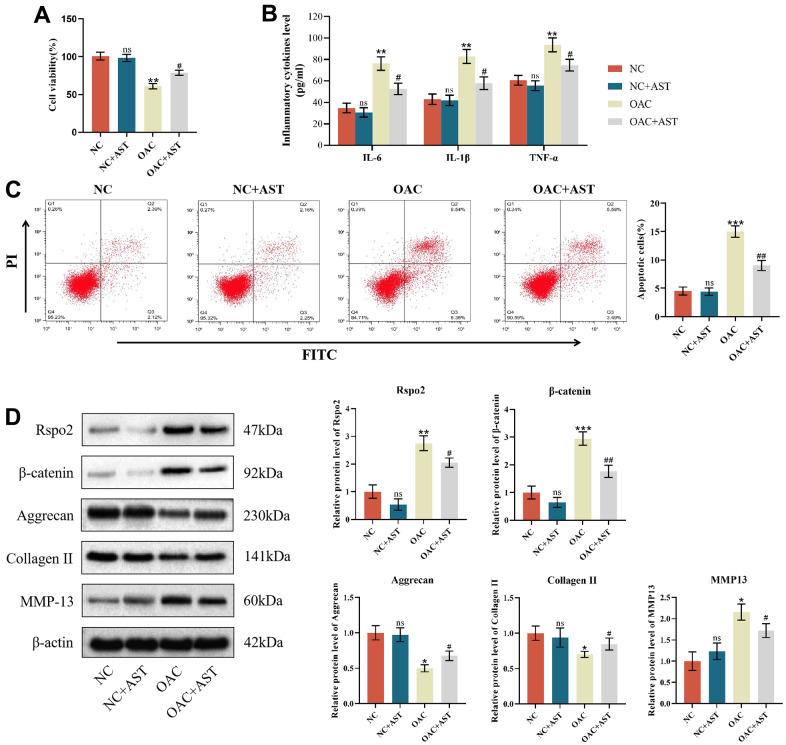 https://cdn.ncbi.nlm.nih.gov/pmc/blobs/7631/10333078/5a2565511c84/aging-15-204837-g003.jpg