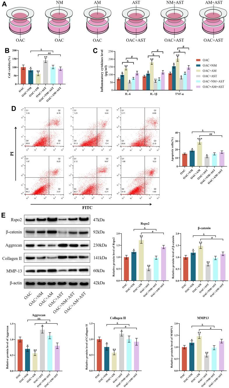 https://cdn.ncbi.nlm.nih.gov/pmc/blobs/7631/10333078/8c69d23a54a3/aging-15-204837-g007.jpg