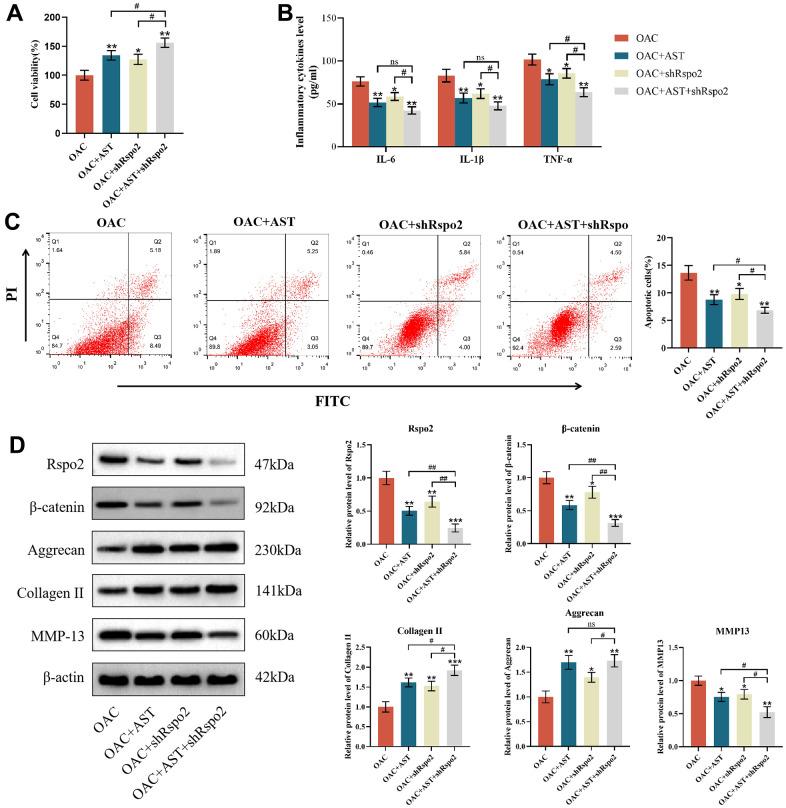 https://cdn.ncbi.nlm.nih.gov/pmc/blobs/7631/10333078/b0b1b08fc5a7/aging-15-204837-g004.jpg