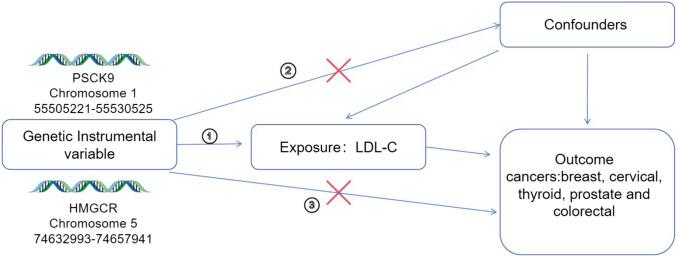 https://cdn.ncbi.nlm.nih.gov/pmc/blobs/7631/11655734/fabdf79e2e63/12672_2024_1684_Fig1_HTML.jpg