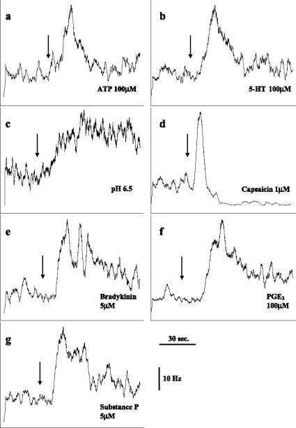 https://cdn.ncbi.nlm.nih.gov/pmc/blobs/7631/2104004/24d11d780c70/11302_2005_Article_5305_Fig1.jpg