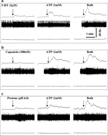 https://cdn.ncbi.nlm.nih.gov/pmc/blobs/7631/2104004/5f8c559347a8/11302_2005_Article_5305_Fig5.jpg