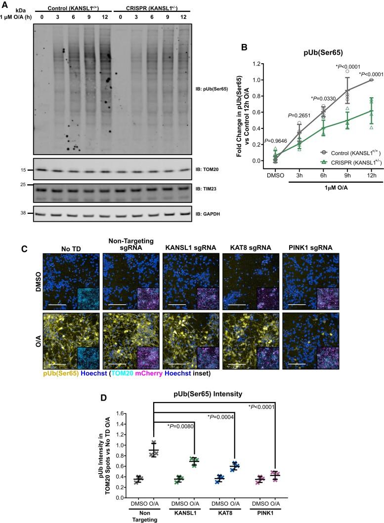 https://cdn.ncbi.nlm.nih.gov/pmc/blobs/7632/9762952/16db150b7495/awac325f7.jpg