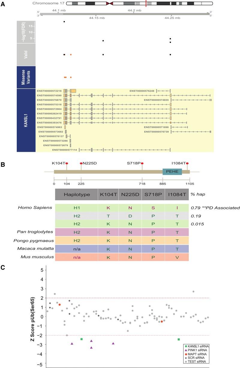 https://cdn.ncbi.nlm.nih.gov/pmc/blobs/7632/9762952/1c3762a56940/awac325f6.jpg