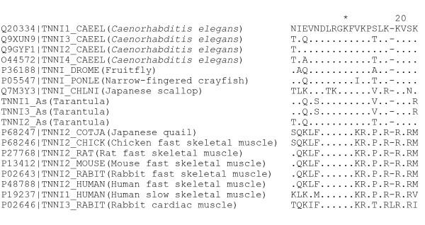 https://cdn.ncbi.nlm.nih.gov/pmc/blobs/7633/2674065/06a7fe909e05/1471-2164-10-117-5.jpg