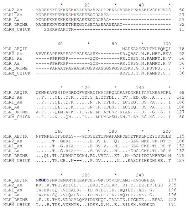 https://cdn.ncbi.nlm.nih.gov/pmc/blobs/7633/2674065/48c61e51c5c6/1471-2164-10-117-3.jpg